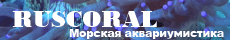 ruscoral.ru - кораллы, рыба, корма, добавки, химия. Опт и розница.
