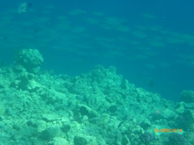P1010736.JPG