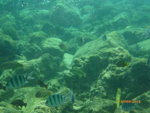 P1010718.JPG