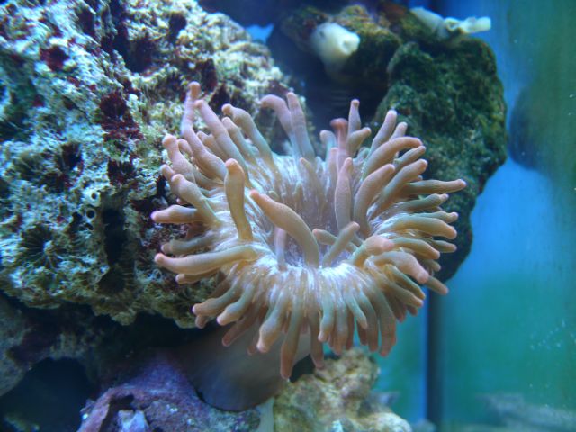P1050591