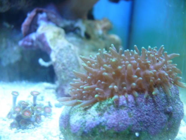 P1050589