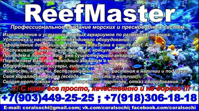 "ReefMaster" Полный спектр аквариумных услуг в городе Сочи.