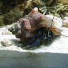 IMG 5171