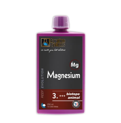 magnesium