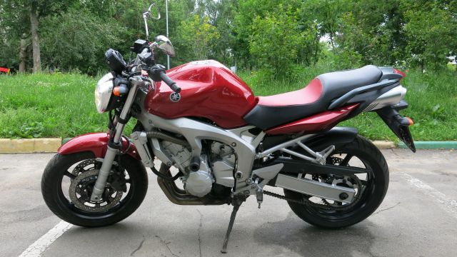 FZ6n