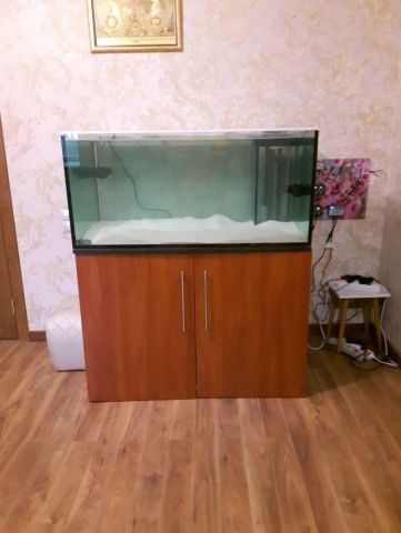 Началось!