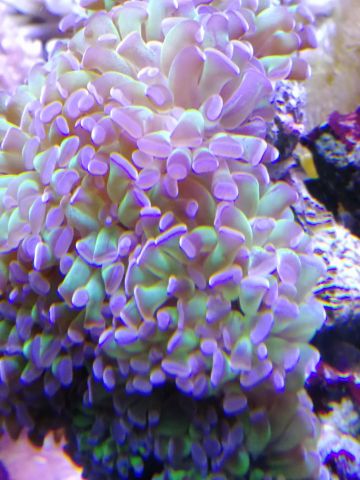 IMG 20171111 114838
