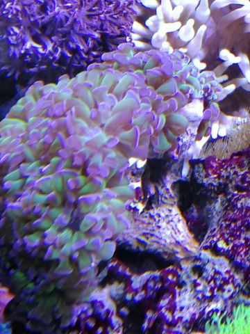 IMG 20171111 115041