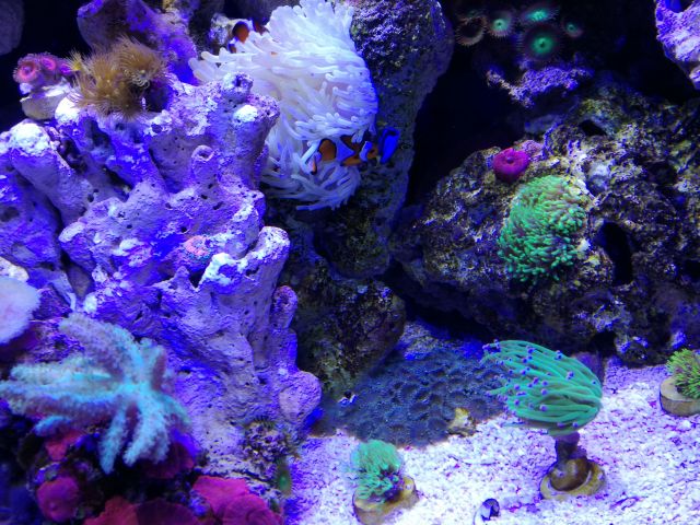 IMG 20171129 203527