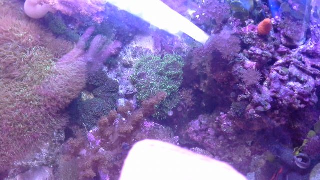 20180219 183303