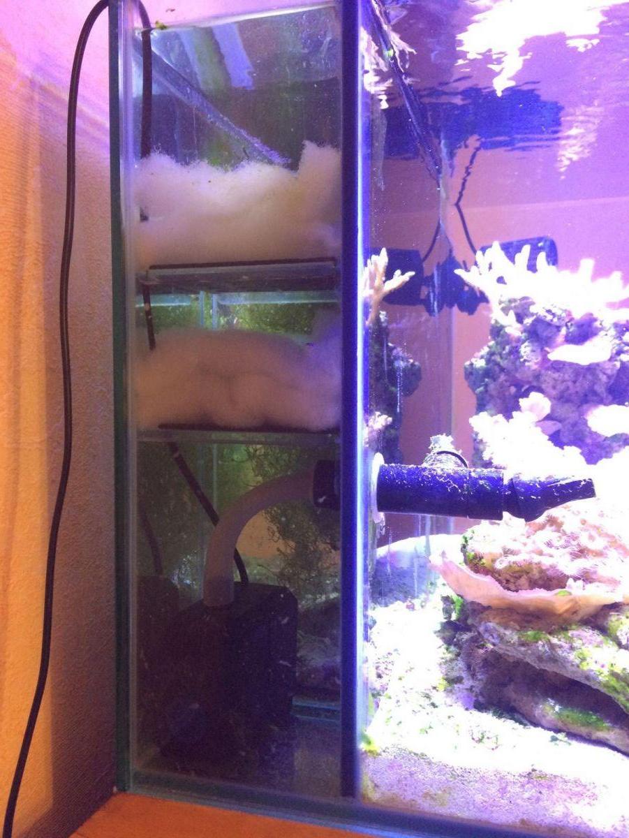 аквариум с сампом по задней стенке