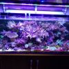 IMG 20181015 141700