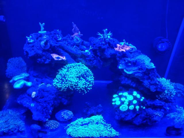 IMG 20201202 203743