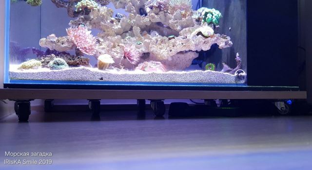 Подставка для аквариума на колесиках