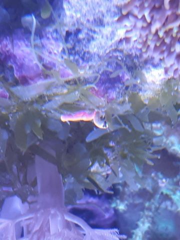 20200610 152956