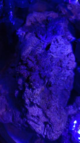 IMG20250604220853