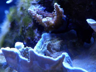 P1110559.jpg