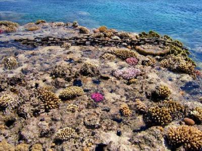 reef-exposed-at-low-tide (1).jpg