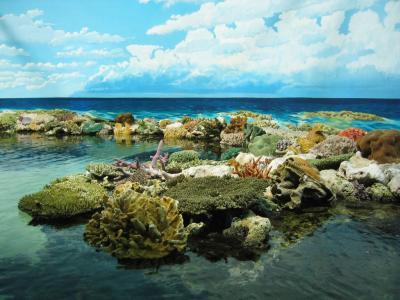 7120_2384_sydney_aquarium_great_barrier_reef (2).jpg