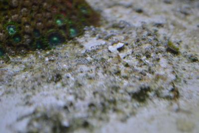 DSC_0066.JPG