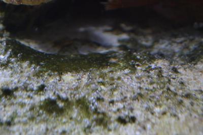 DSC_0068.JPG