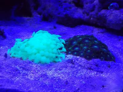 DSCN4718.JPG