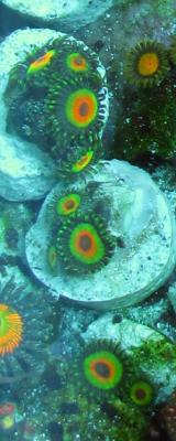 C__Data_Users_DefApps_AppData_INTERNETEXPLORER_Temp_Saved Images_image.jpg