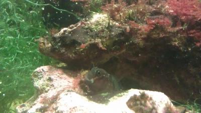 IMAG0917.jpg