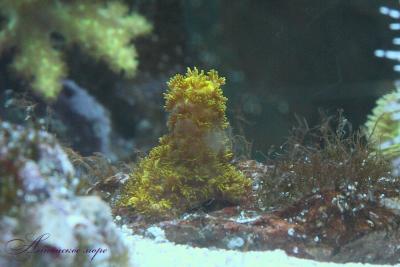 IMG_8359.jpg