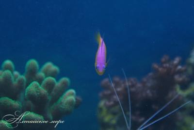 IMG_8296.jpg