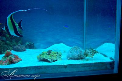 IMG_8305.jpg