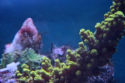IMG_8327.jpg