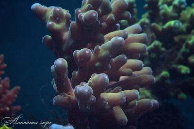 IMG_8328.jpg