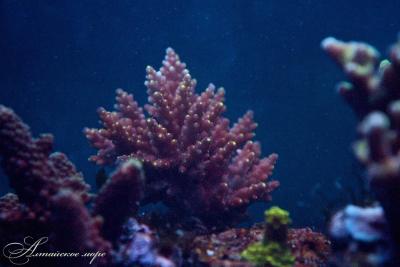 IMG_8331.jpg