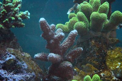 IMG_8348.jpg