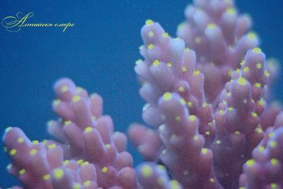 IMG_8384.jpg