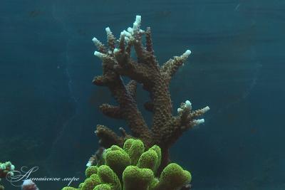 IMG_8351.jpg