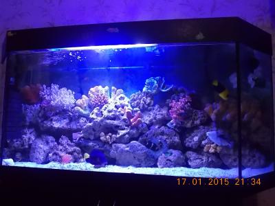 DSCN7459.JPG