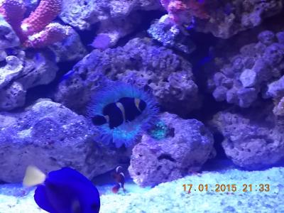 DSCN7457.JPG