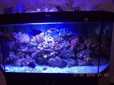DSCN7456.JPG