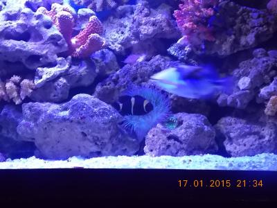 DSCN7461.JPG