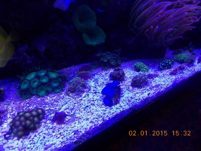 DSCN7368.JPG
