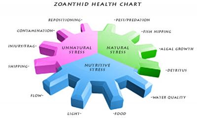 zoahealthchart.jpg