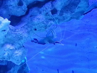 20150112_004522.jpg