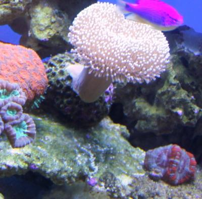 IMG_0850.jpg