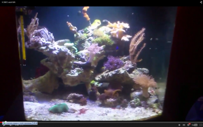 Снимок экрана (4).png