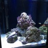 IMG_3060.JPG