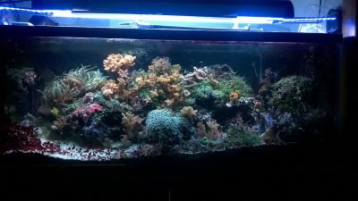 WP_20160125_22_20_48_Pro.jpg