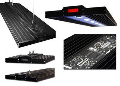 vertex illumina 260.jpg