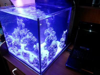 мини море 001.jpg